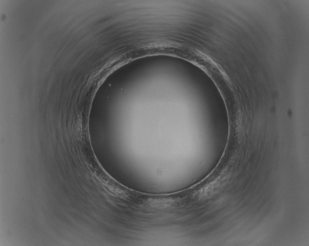 X0000073720825200608171201