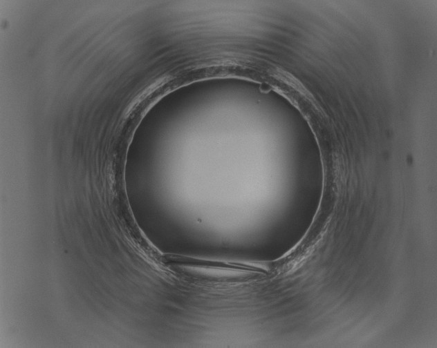 X0000073720826200608171201