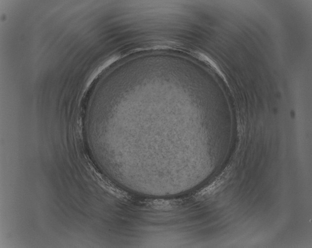 X0000073720827200608171201