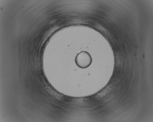 X0000073720828200608171201