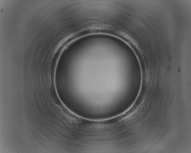 X0000073720829200608171201