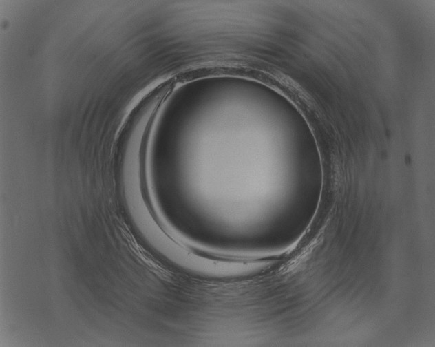 X0000073720830200608171201