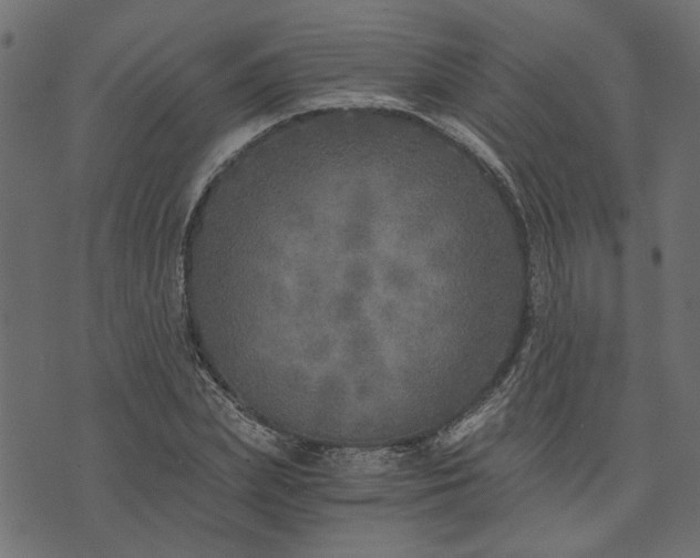 X0000073720831200608171201