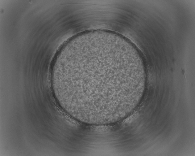 X0000073720832200608171201