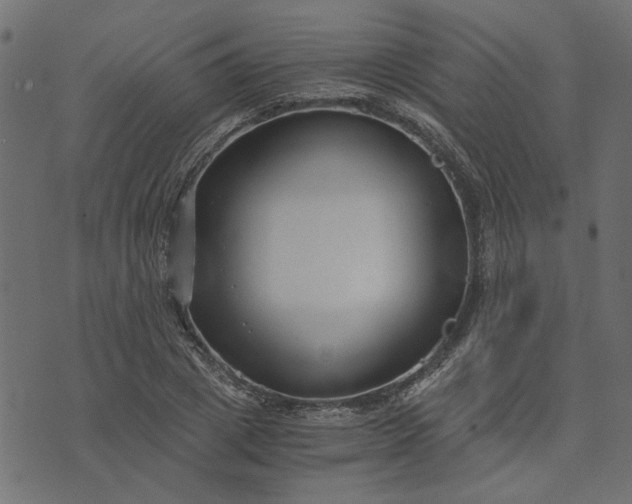 X0000073720833200608171201