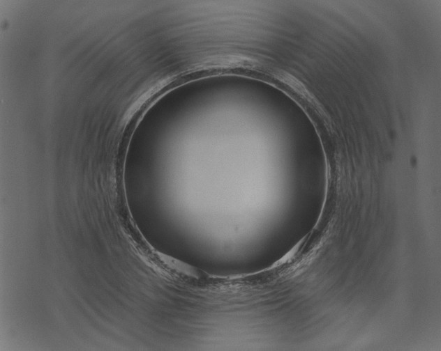 X0000073720834200608171201