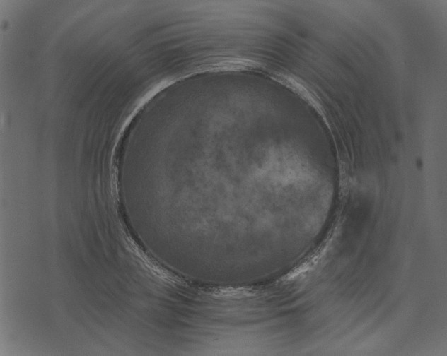 X0000073720835200608171201