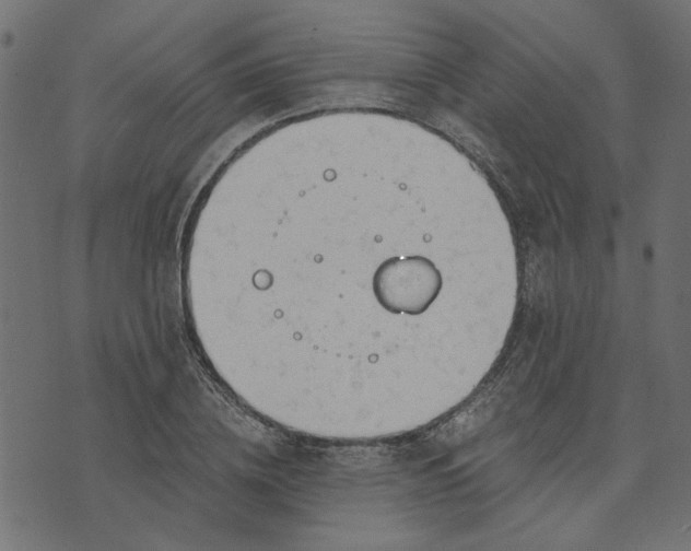 X0000073720836200608171201