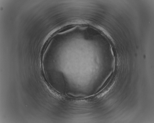 X0000073720837200608171201