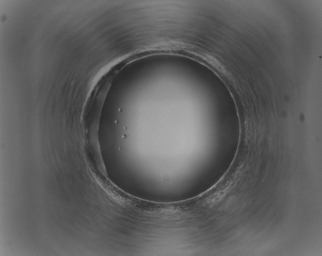 X0000073720838200608171201