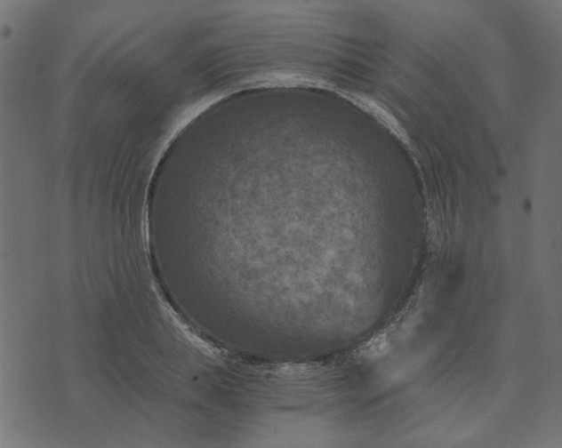 X0000073720839200608171201