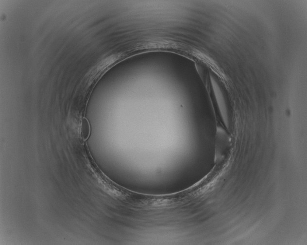 X0000073720841200608171201