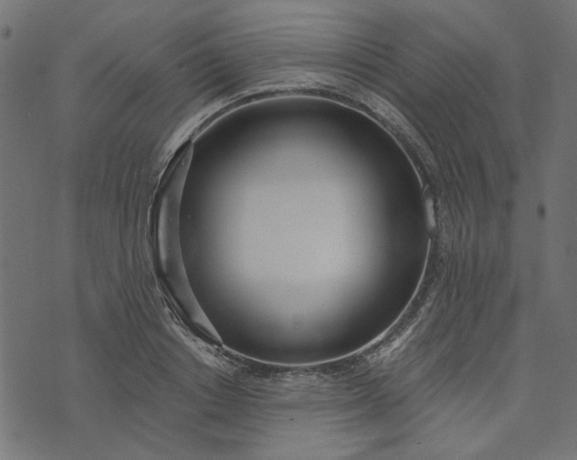 X0000073720842200608171201