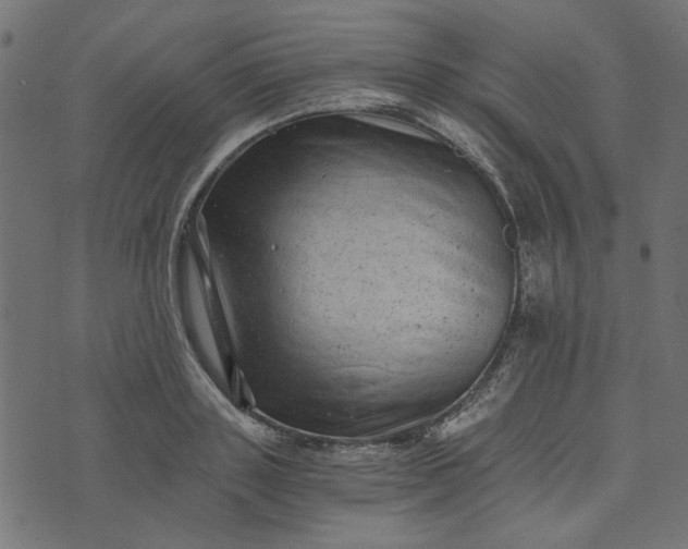 X0000073720843200608171201