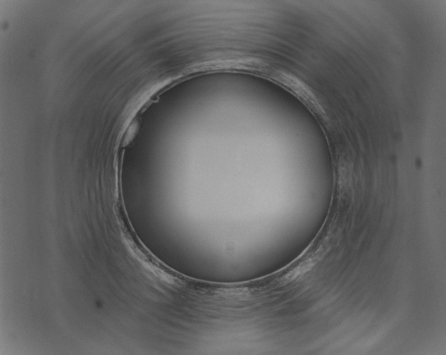 X0000073720844200608171201