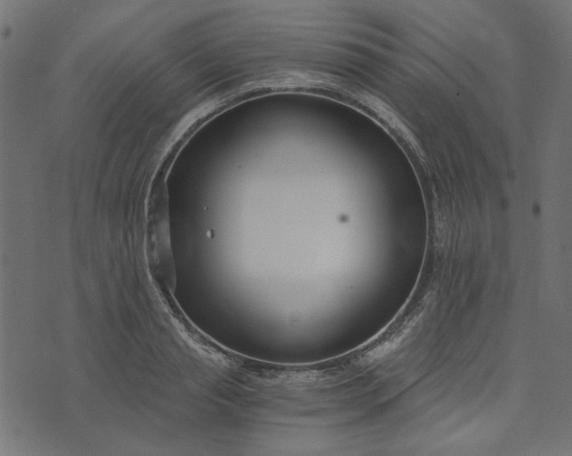 X0000073720845200608171201