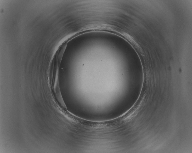 X0000073720846200608171201