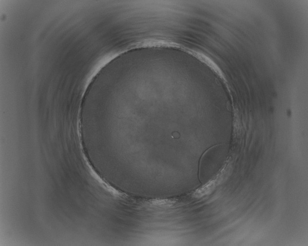 X0000073720847200608171201