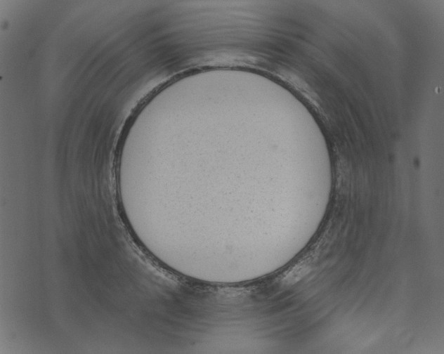 X0000073720848200608171201