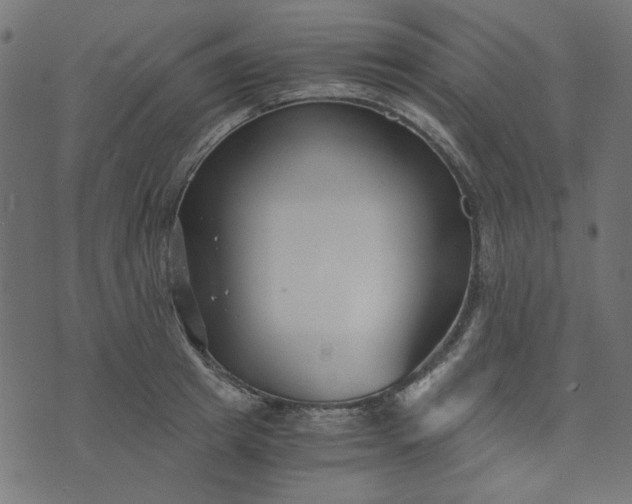 X0000073720849200608171201