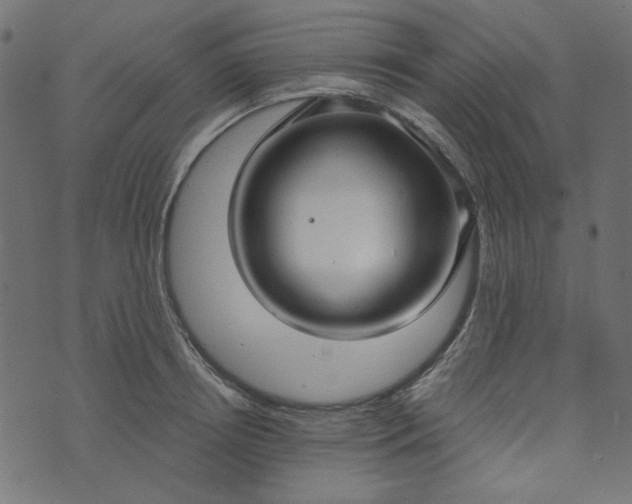 X0000073720850200608171201