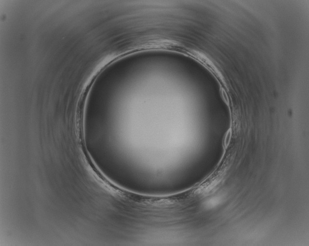 X0000073720851200608171201