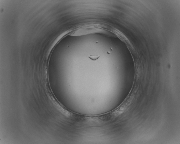 X0000073720852200608171201