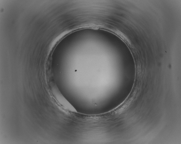 X0000073720854200608171201