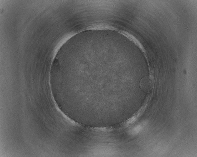 X0000073720855200608171201