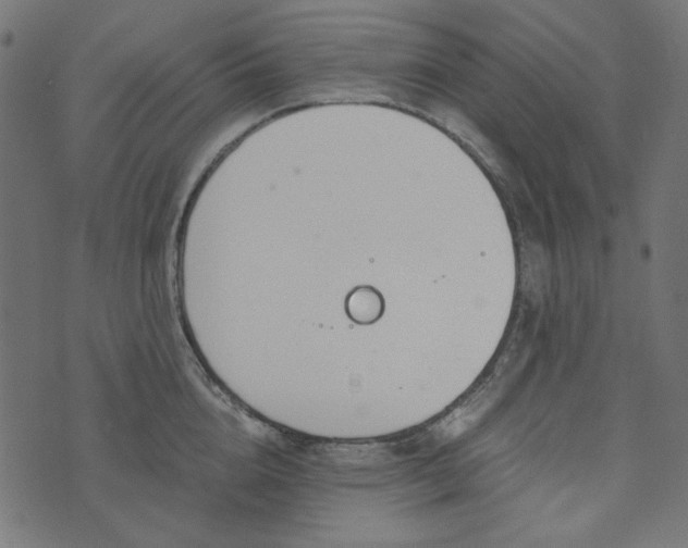 X0000073720856200608171201