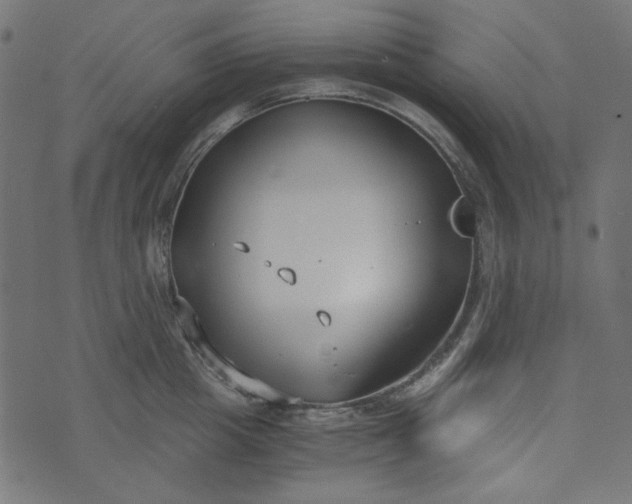 X0000073720857200608171202