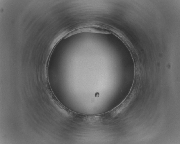 X0000073720858200608171202