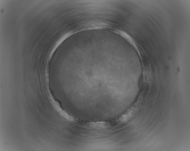 X0000073720859200608171202