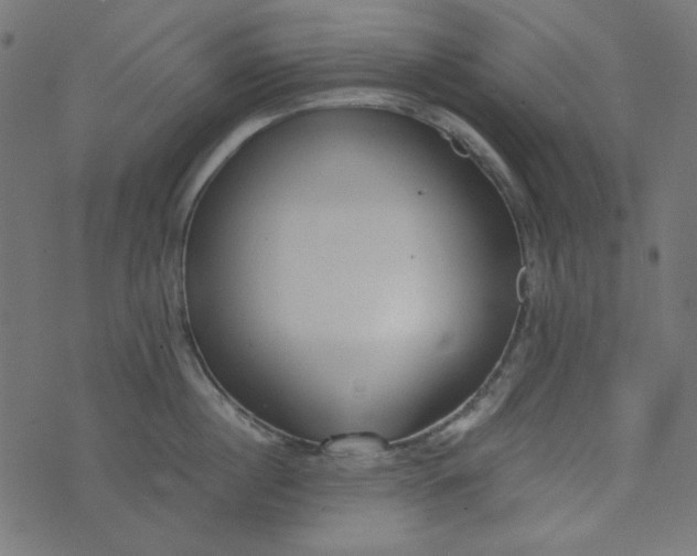 X0000073720860200608171202