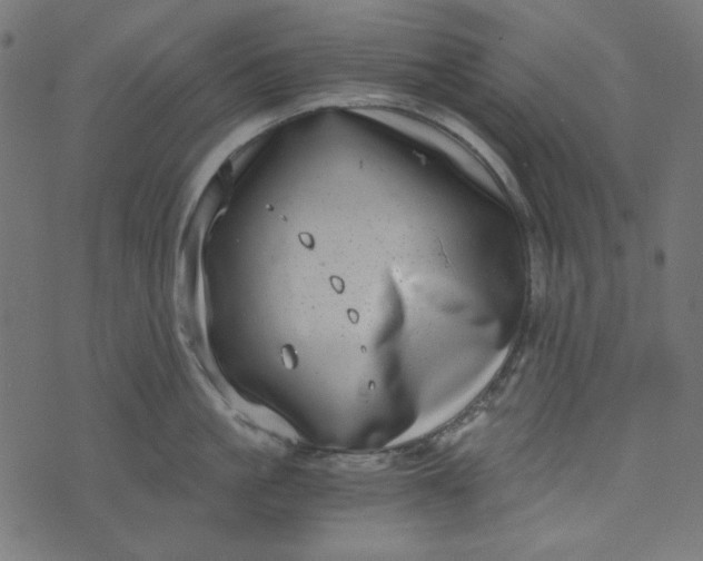 X0000073720861200608171202