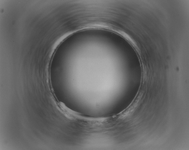 X0000073720862200608171202