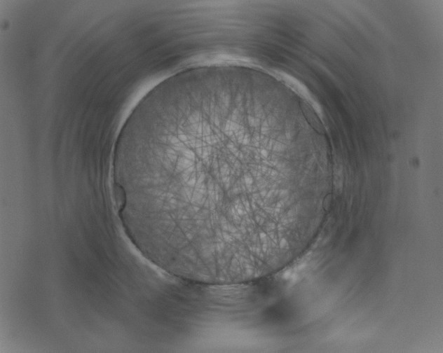 X0000073720863200608171202