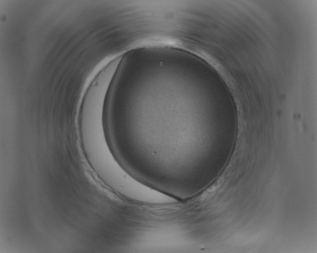 X0000073720864200608171202