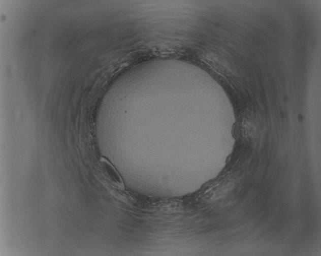 X0000073720865200608171201