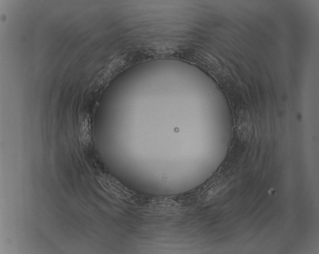 X0000073720866200608171201