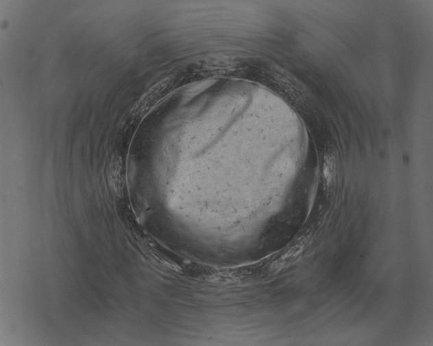 X0000073720867200608171201