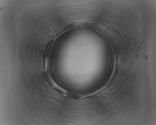 X0000073720868200608171201