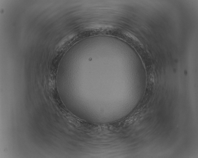 X0000073720869200608171201