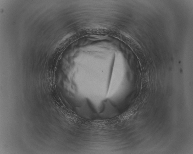 X0000073720870200608171201