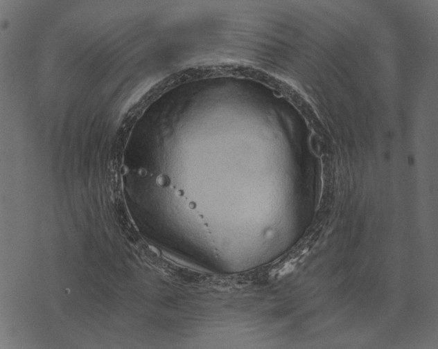 X0000073720871200608171201