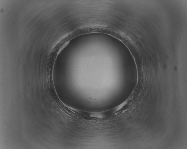 X0000073720872200608171201