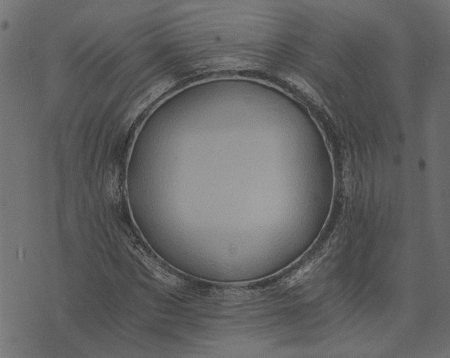 X0000073720873200608171201