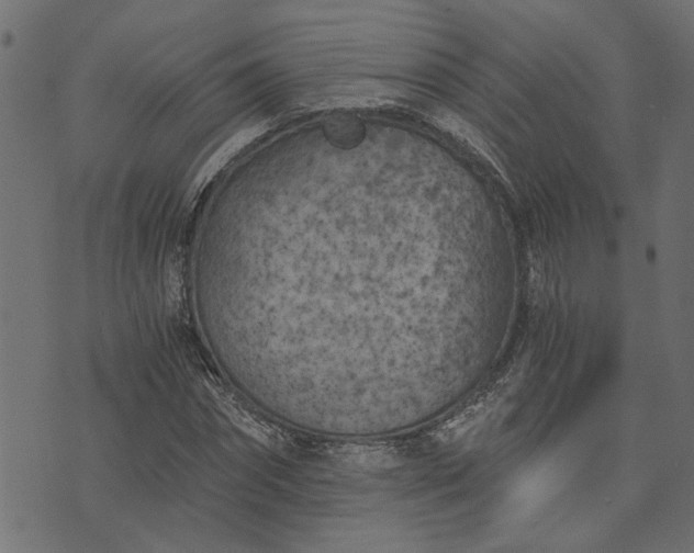 X0000073720874200608171201