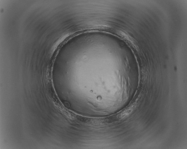 X0000073720875200608171201