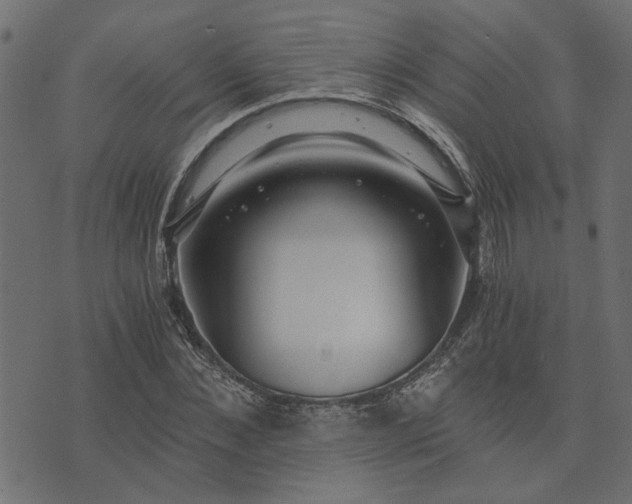 X0000073720876200608171201